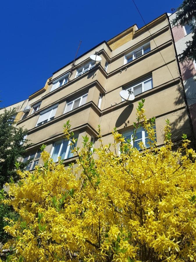 Затишні Смарт-Квартири В Історичному Центрі! Lejlighed Uzjhorod Eksteriør billede